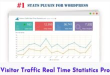 Visitor Traffic Real Time Statistics Pro 10.5 Plugin